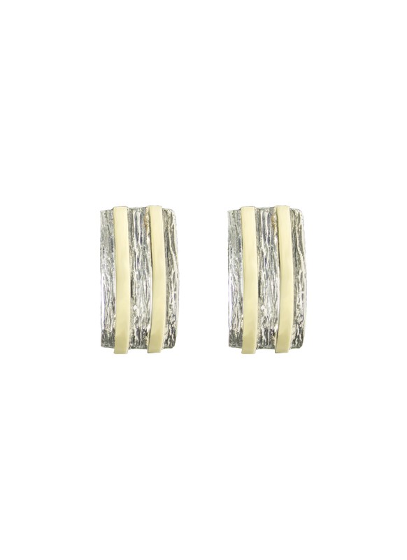 PENDIENTES PLATA Y ORO